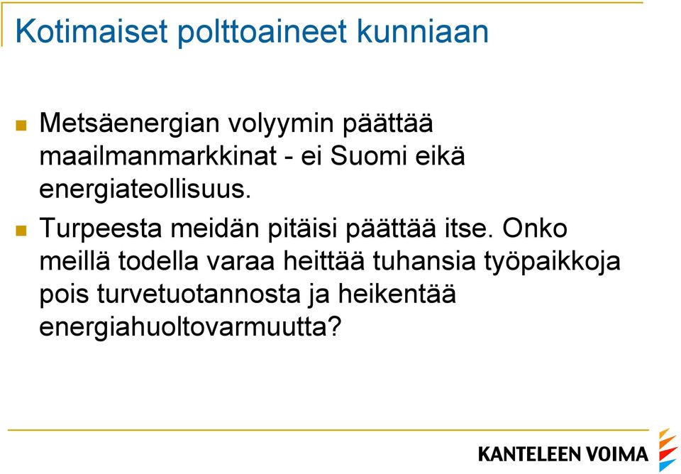 n Turpeesta meidän pitäisi päättää itse.