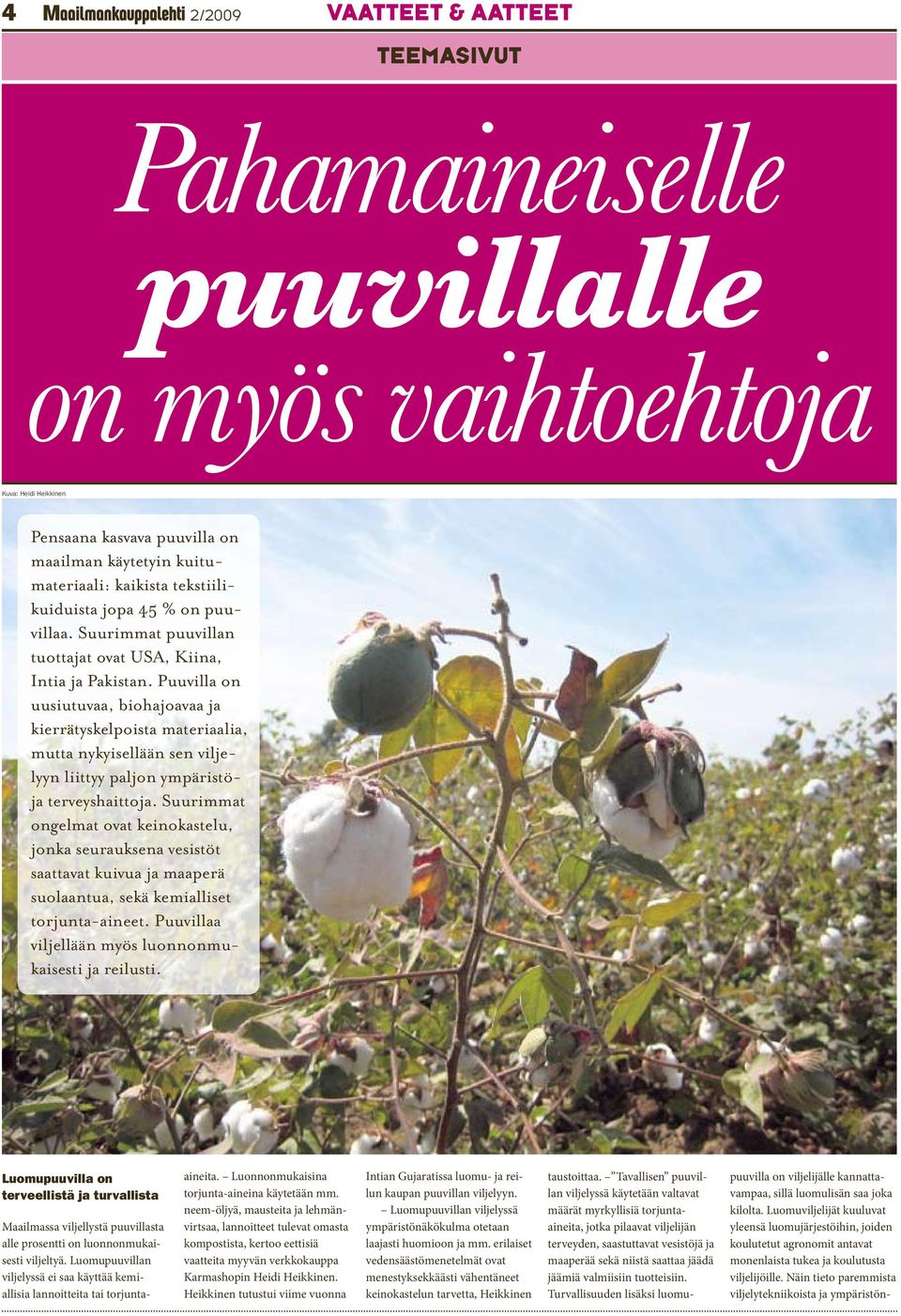 Puuvilla on uusiutuvaa, biohajoavaa ja kierrätyskelpoista materiaalia, mutta nykyisellään sen viljelyyn liittyy paljon ympäristöja terveyshaittoja.