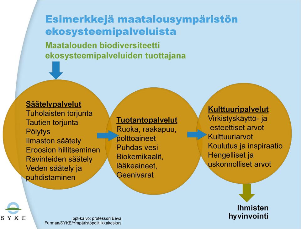 Ruoka, raakapuu, polttoaineet Puhdas vesi Biokemikaalit, lääkeaineet, Geenivarat Kulttuuripalvelut Virkistyskäyttö- ja esteettiset arvot