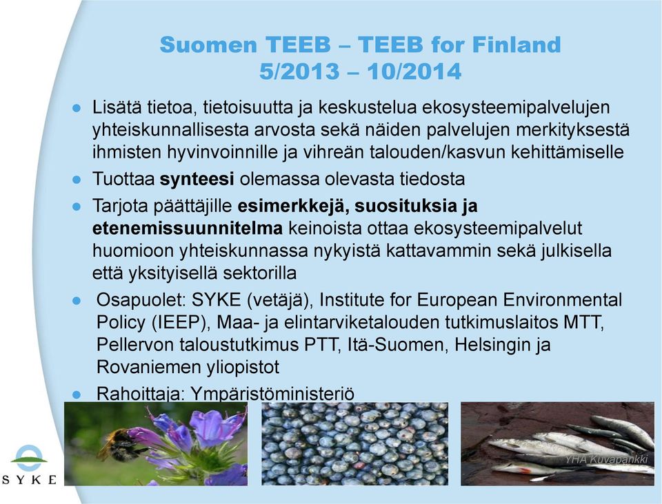 ottaa ekosysteemipalvelut huomioon yhteiskunnassa nykyistä kattavammin sekä julkisella että yksityisellä sektorilla Osapuolet: SYKE (vetäjä), Institute for European Environmental