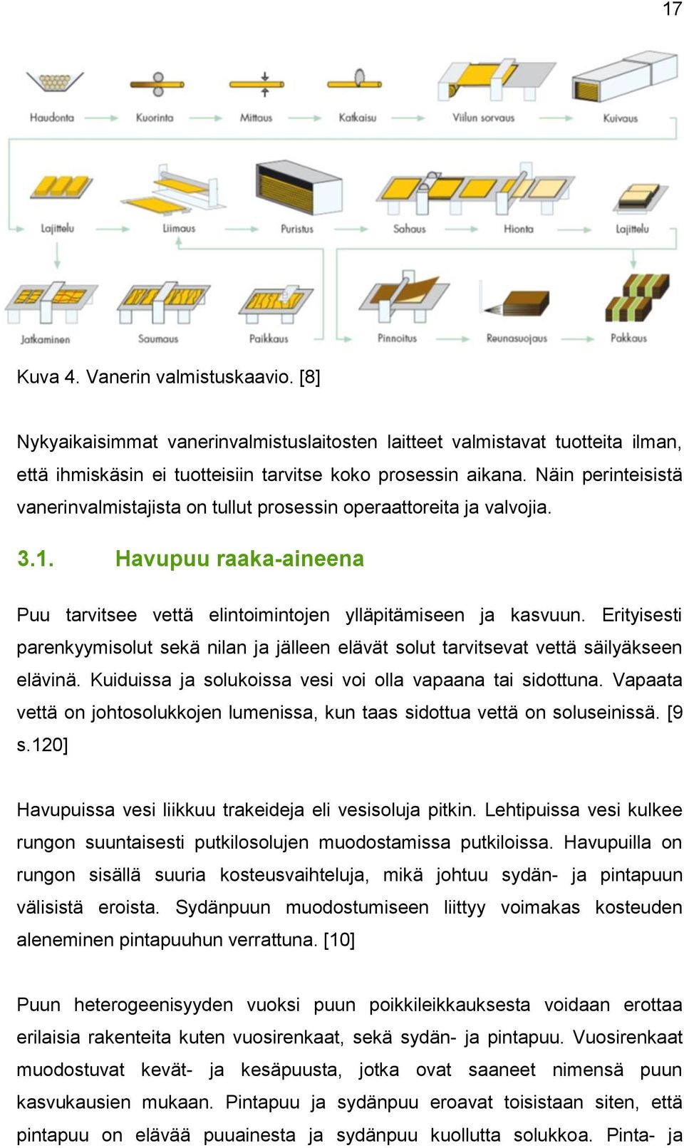 Erityisesti parenkyymisolut sekä nilan ja jälleen elävät solut tarvitsevat vettä säilyäkseen elävinä. Kuiduissa ja solukoissa vesi voi olla vapaana tai sidottuna.