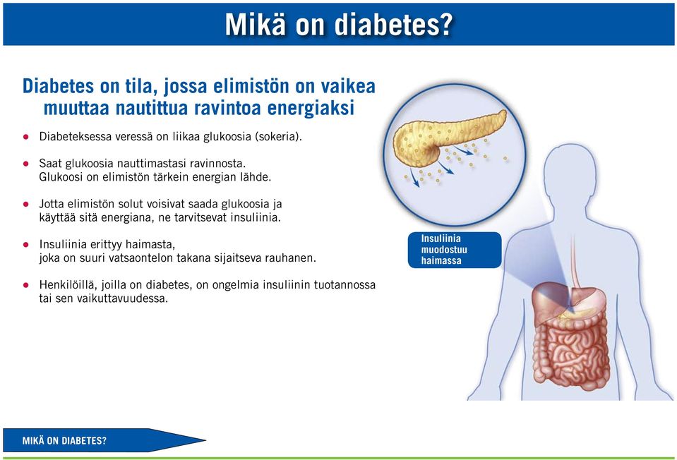 Saat glukoosia nauttimastasi ravinnosta. Glukoosi on elimistön tärkein energian lähde.