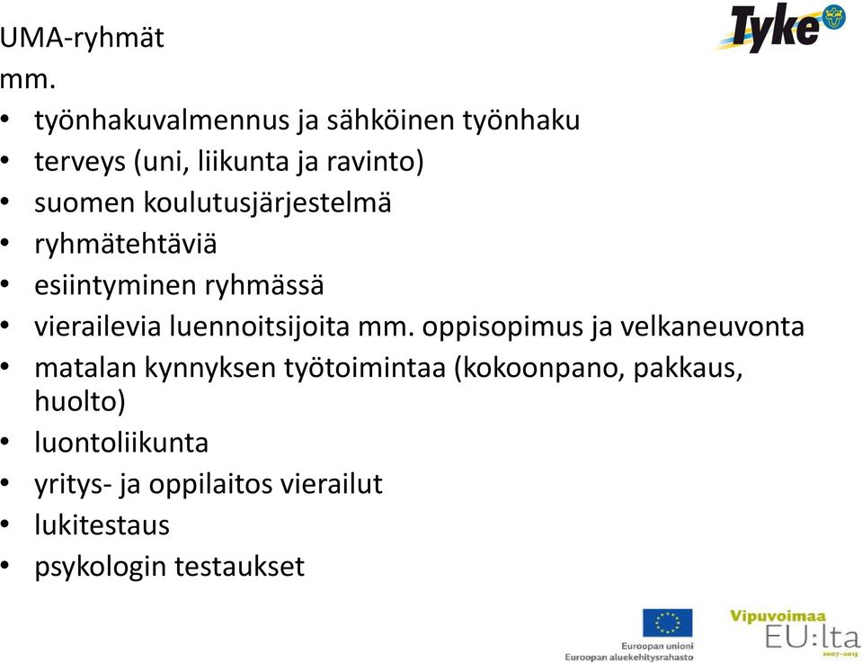 koulutusjärjestelmä ryhmätehtäviä esiintyminen ryhmässä vierailevia luennoitsijoita mm.