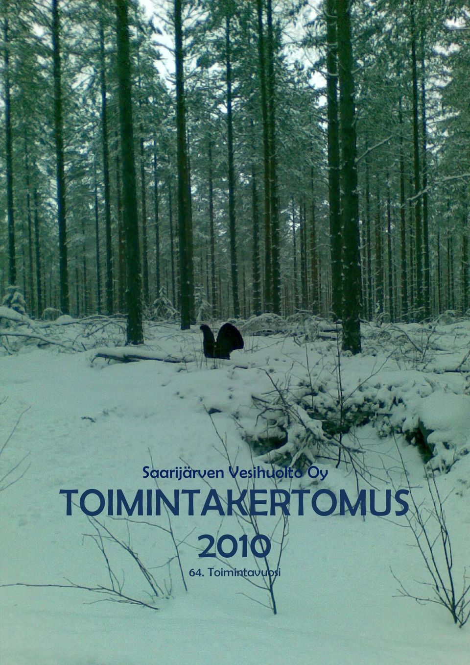 TOIMINTAKERTOMUS