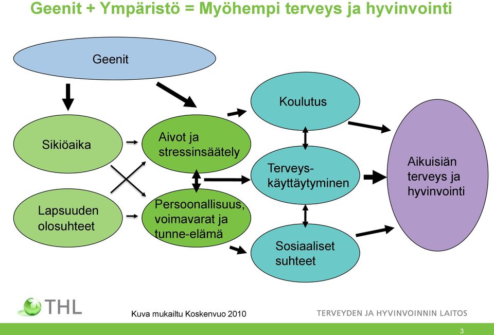 Persoonallisuus, voimavarat ja tunne-elämä Terveyskäyttäytyminen