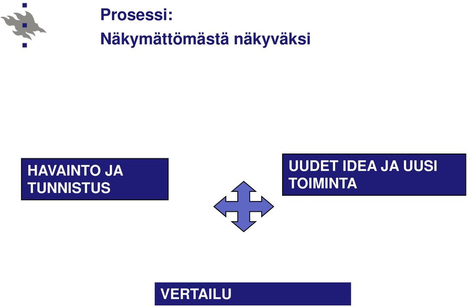 näkyväksi HAVAINTO JA