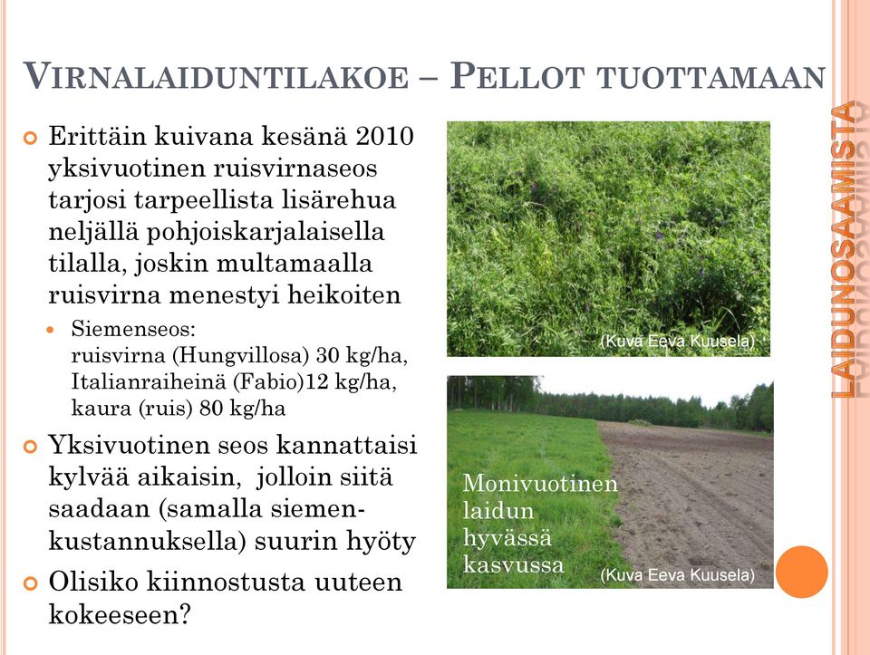 Italianraiheinä (Fabio)12 kg/ha, kaura (ruis) 80 kg/ha Yksivuotinen seos kannattaisi kylvää aikaisin, jolloin siitä saadaan (samalla