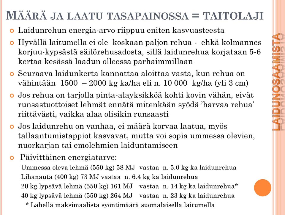 10 000 kg/ha (yli 3 cm) Jos rehua on tarjolla pinta-alayksikköä kohti kovin vähän, eivät runsastuottoiset lehmät ennätä mitenkään syödä harvaa rehua riittävästi, vaikka alaa olisikin runsaasti Jos