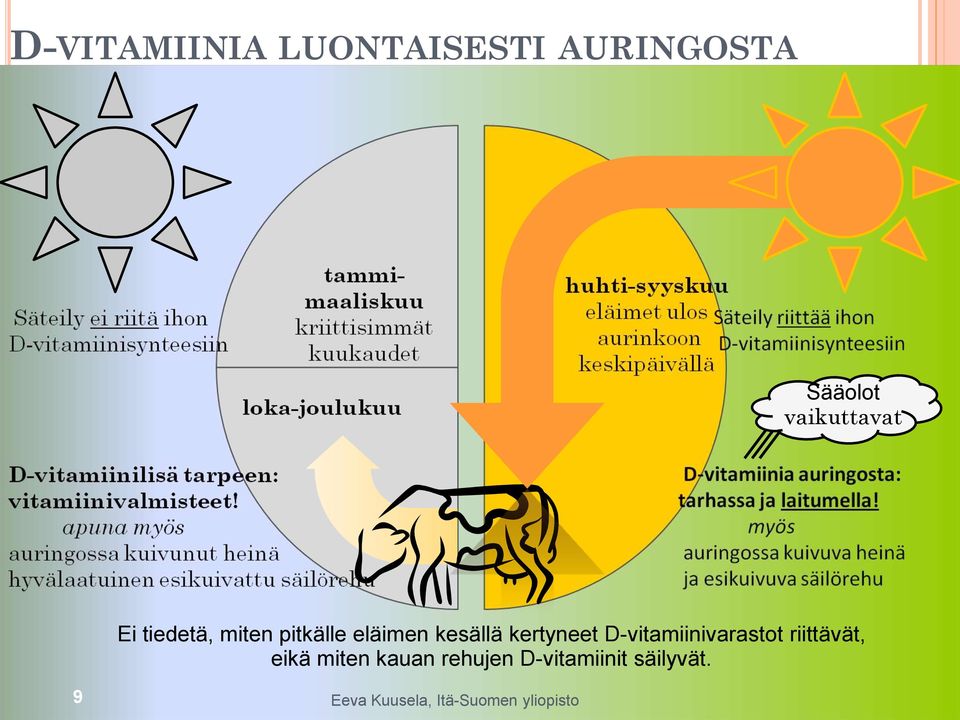 D-vitamiinivarastot riittävät, eikä miten kauan rehujen