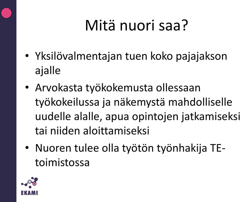 työkokemusta ollessaan työkokeilussa ja näkemystä mahdolliselle