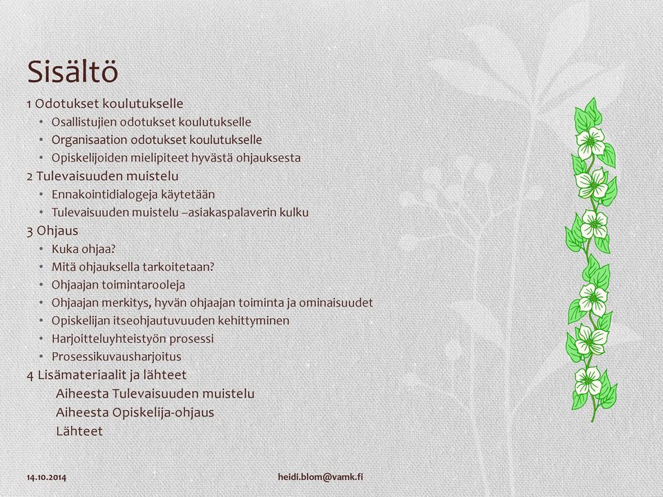 Mitä ohjauksella tarkoitetaan?