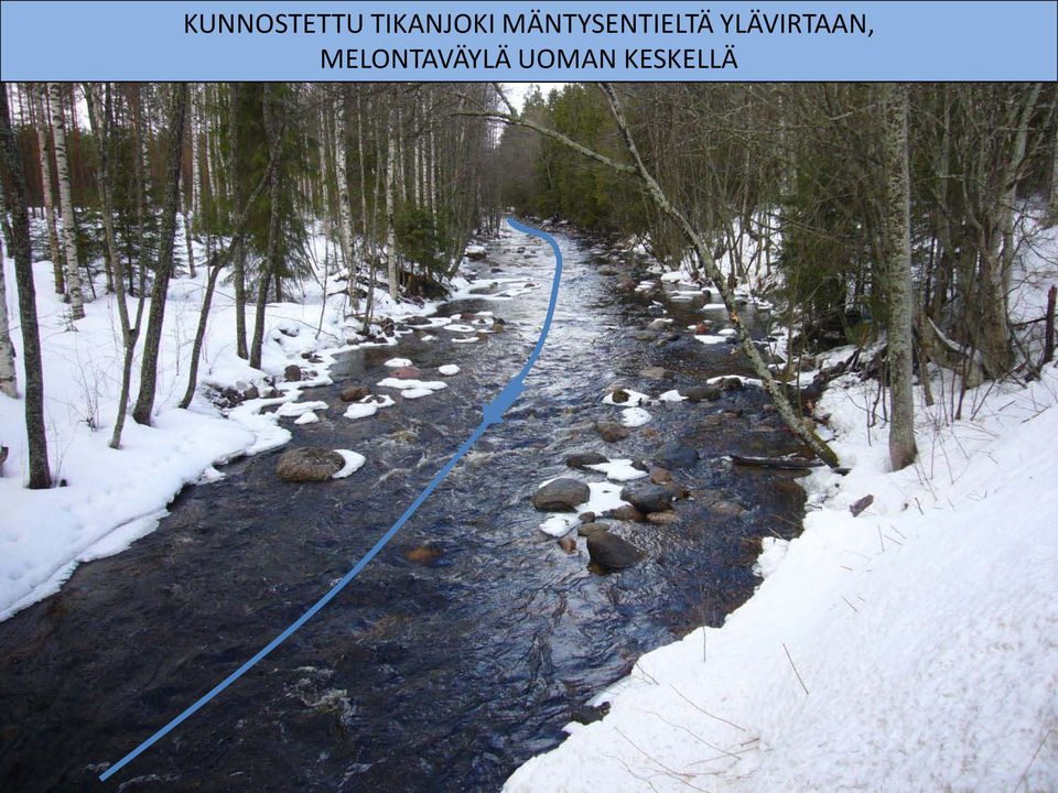 MÄNTYSENTIELTÄ
