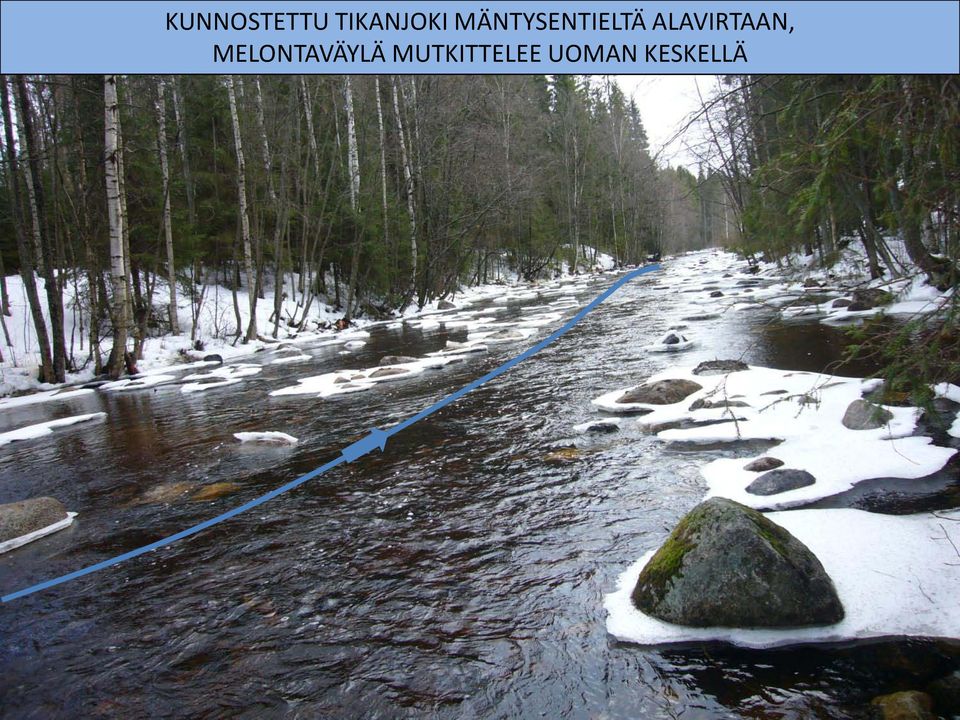 ALAVIRTAAN,