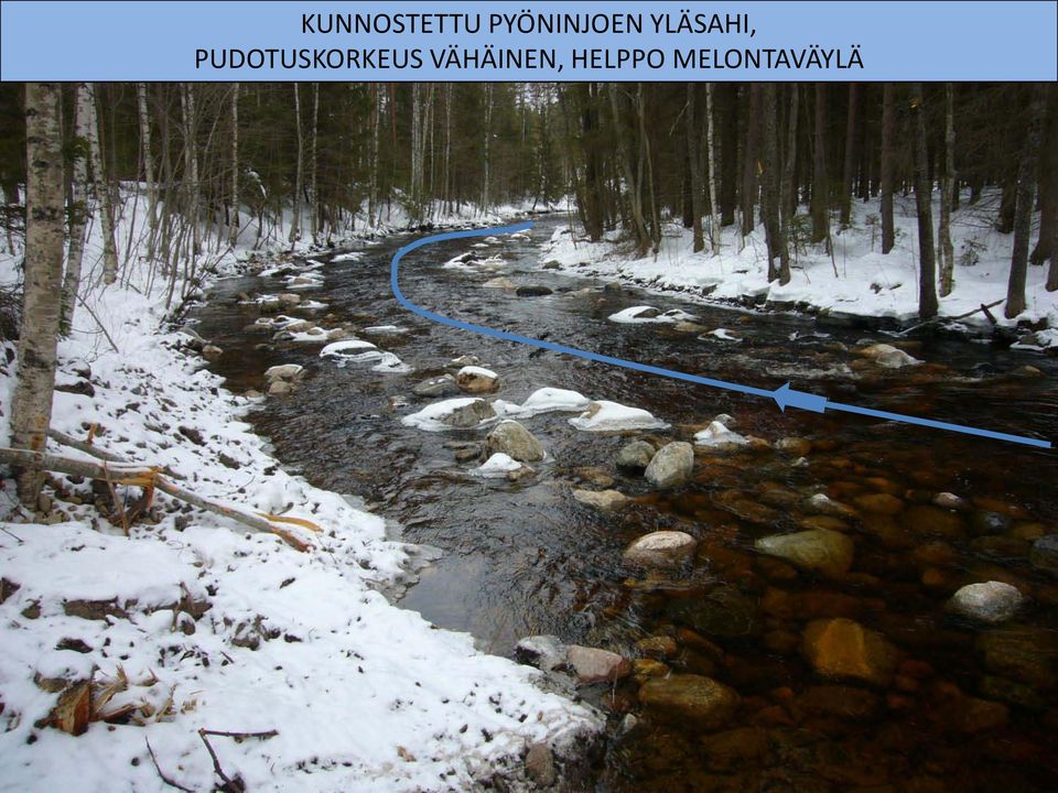 YLÄSAHI,