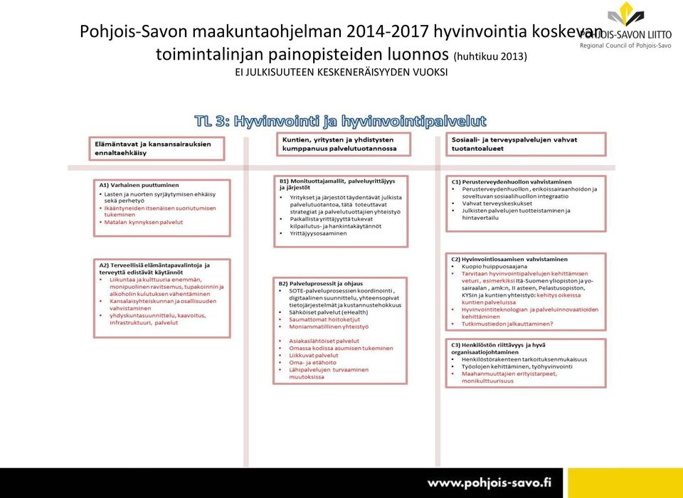 toimintalinjan painopisteiden luonnos