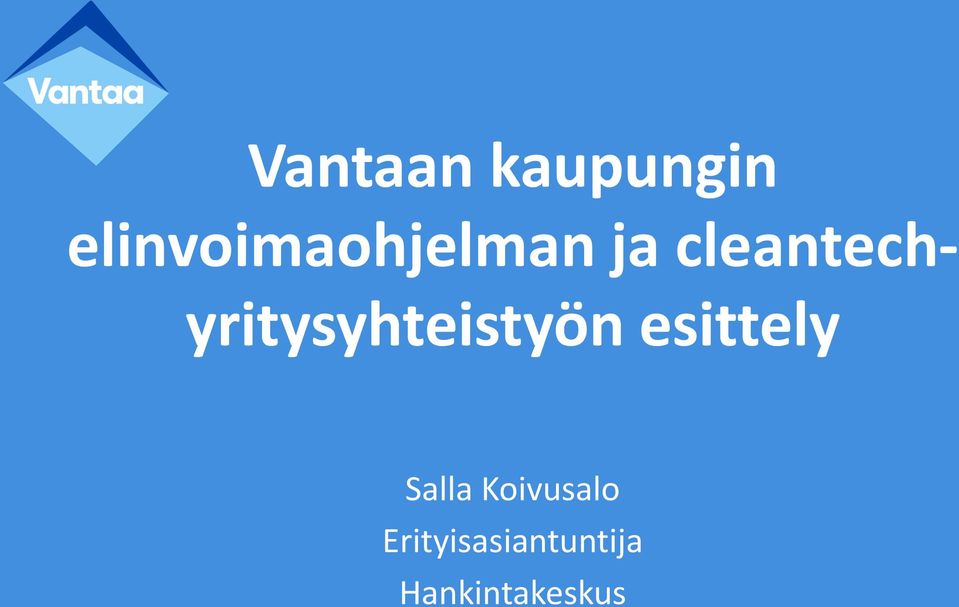 esittely Salla Koivusalo