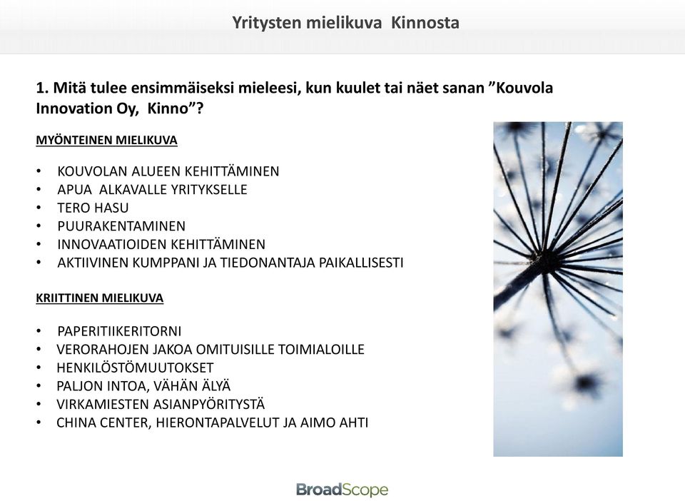 KEHITTÄMINEN AKTIIVINEN KUMPPANI JA TIEDONANTAJA PAIKALLISESTI KRIITTINEN MIELIKUVA PAPERITIIKERITORNI VERORAHOJEN JAKOA