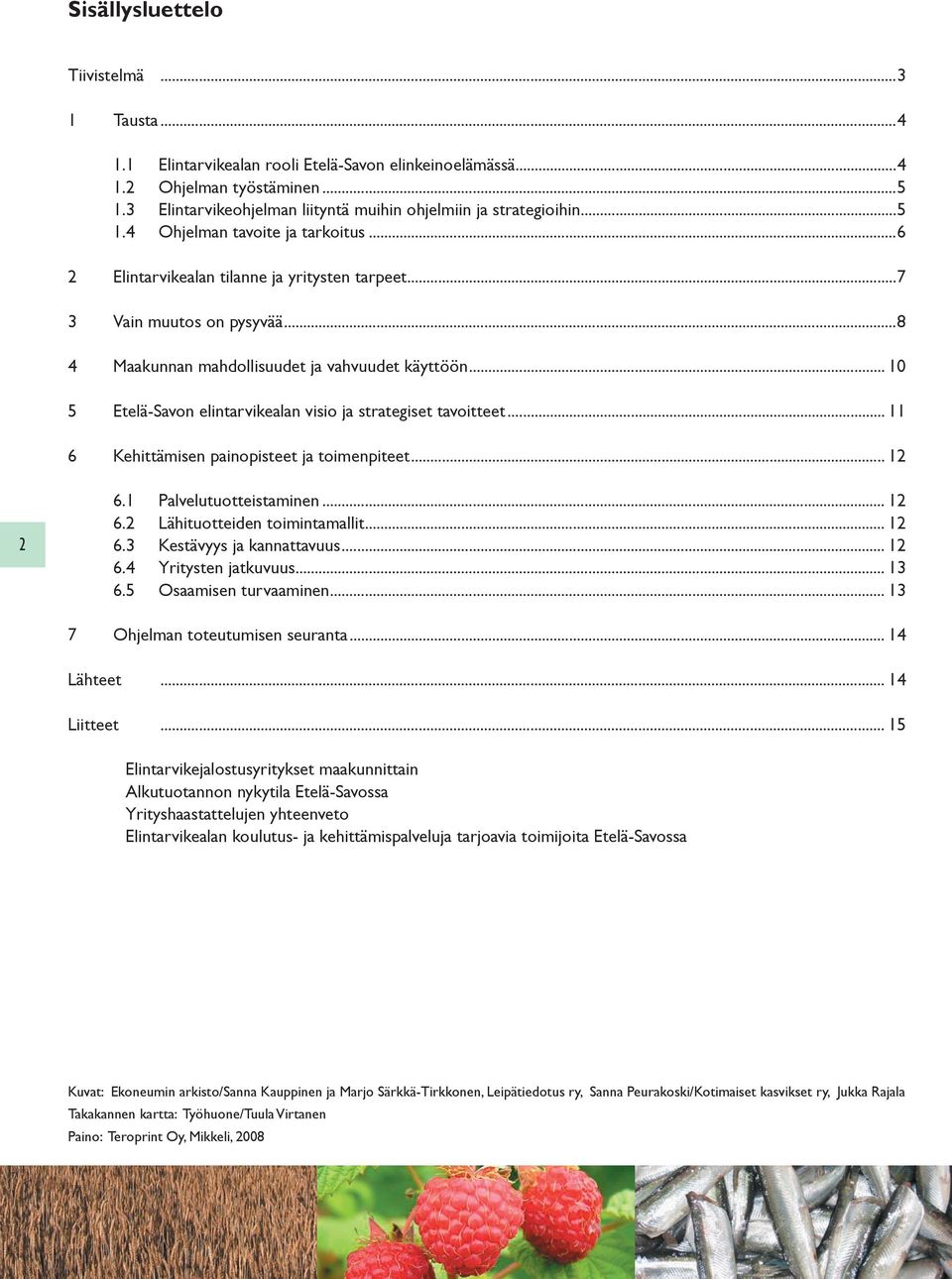 ..8 4 Maakunnan mahdollisuudet ja vahvuudet käyttöön... 10 5 Etelä-Savon elintarvikealan visio ja strategiset tavoitteet... 11 6 Kehittämisen painopisteet ja toimenpiteet... 12 2 6.