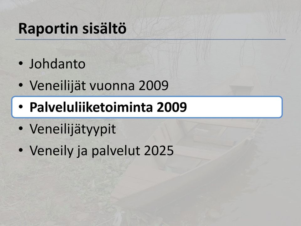 Palveluliiketoiminta 2009