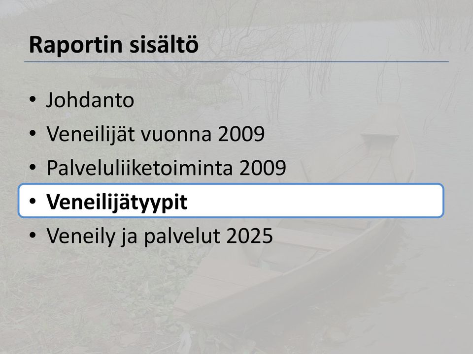 Palveluliiketoiminta 2009