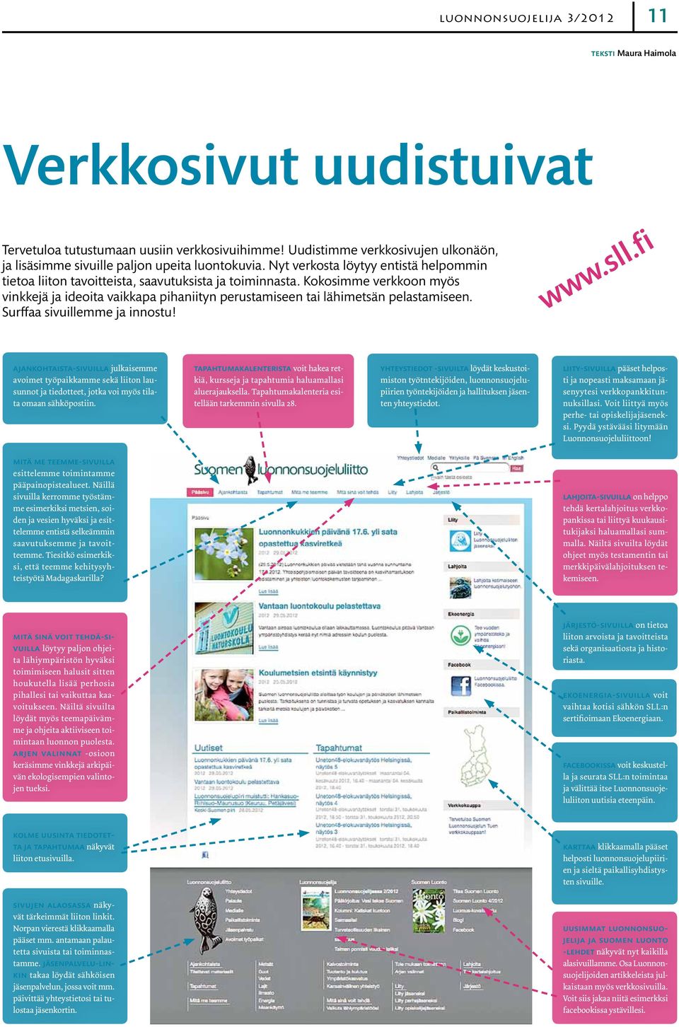 Kokosimme verkkoon myös vinkkejä ja ideoita vaikkapa pihaniityn perustamiseen tai lähimetsän pelastamiseen. Surffaa sivuillemme ja innostu! www.sll.