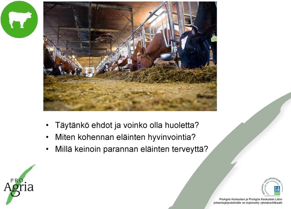 Miten kohennan eläinten