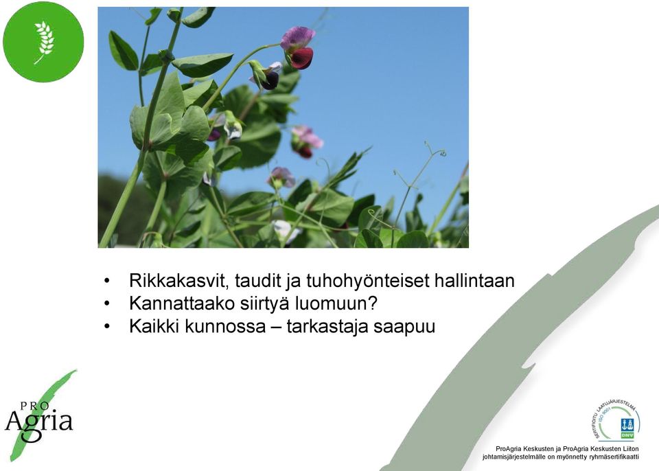 Kannattaako siirtyä luomuun?