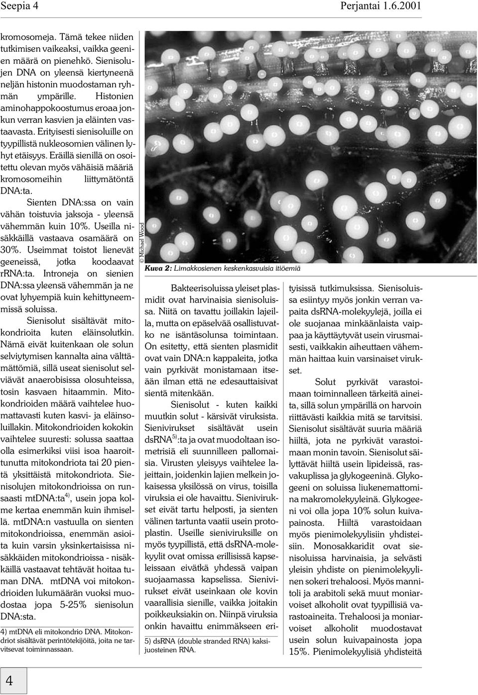 Eräillä sienillä on osoitettu olevan myös vähäisiä määriä kromosomeihin liittymätöntä DNA:ta. Sienten DNA:ssa on vain vähän toistuvia jaksoja - yleensä vähemmän kuin 10%.