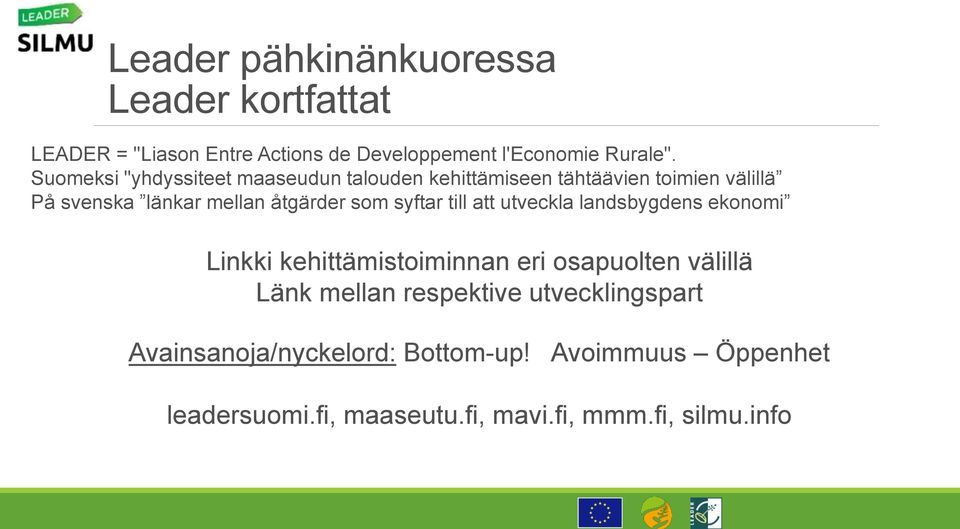 som syftar till att utveckla landsbygdens ekonomi Linkki kehittämistoiminnan eri osapuolten välillä Länk mellan