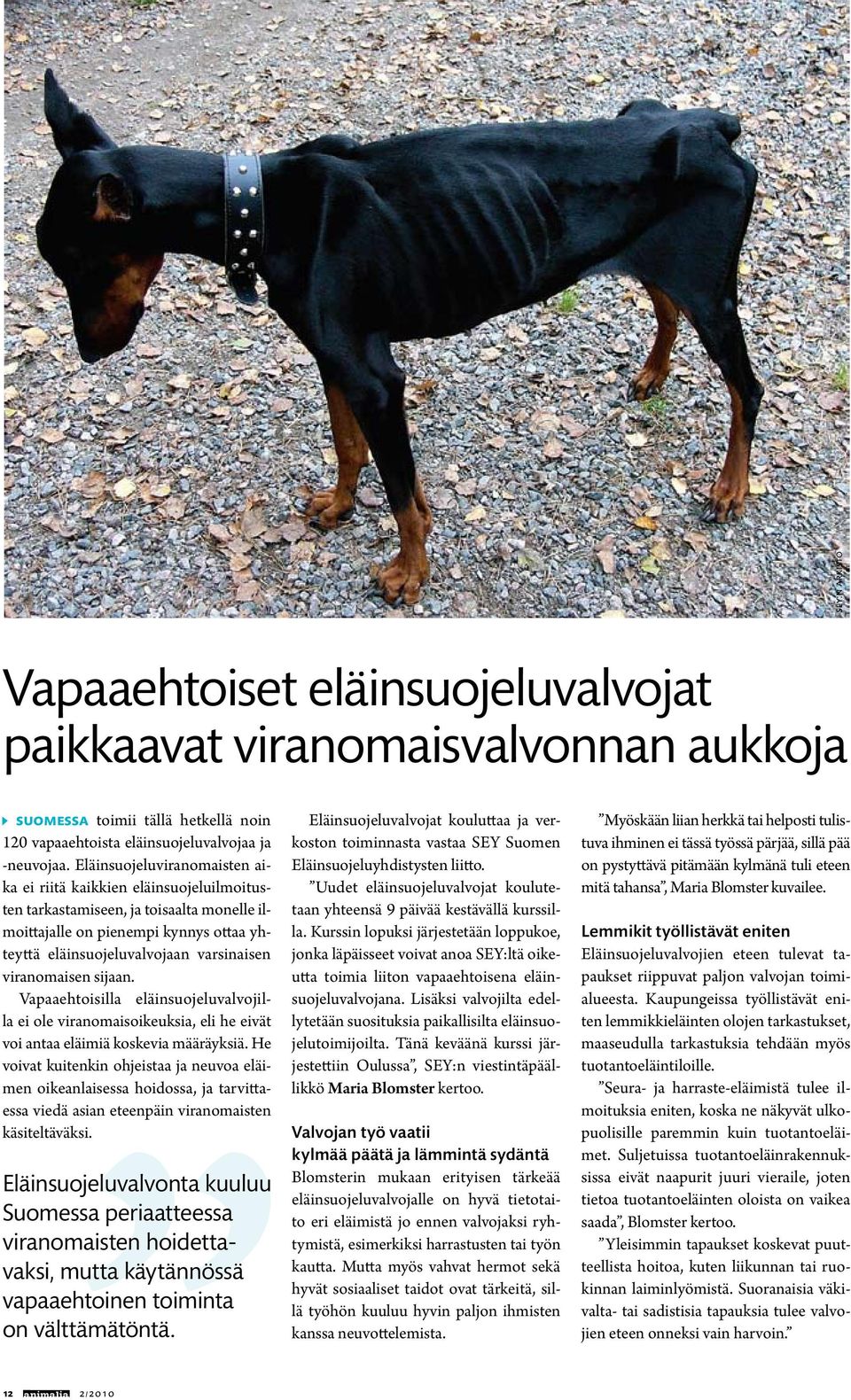 viranomaisen sijaan. Vapaaehtoisilla eläinsuojeluvalvojilla ei ole viranomaisoikeuksia, eli he eivät voi antaa eläimiä koskevia määräyksiä.