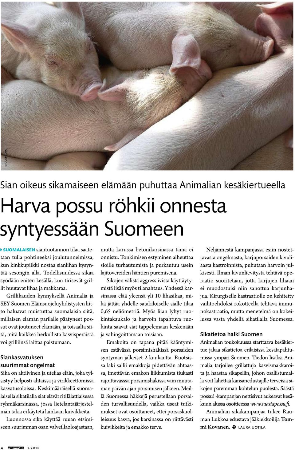 Grillikauden kynnyksellä Animalia ja SEY Suomen Eläinsuojeluyhdistysten liitto haluavat muistuttaa suomalaisia siitä, millaisen elämän parilalle päätyneet possut ovat joutuneet elämään, ja toisaalta