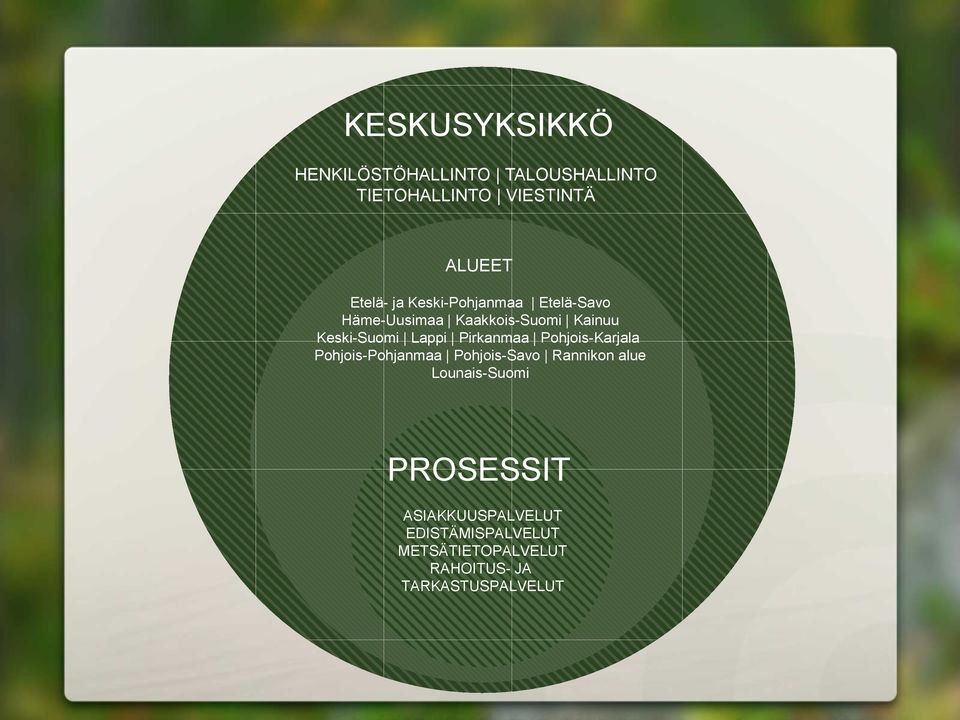 Pirkanmaa Pohjois-Karjala Pohjois-Pohjanmaa Pohjois-Savo Rannikon alue Lounais-Suomi