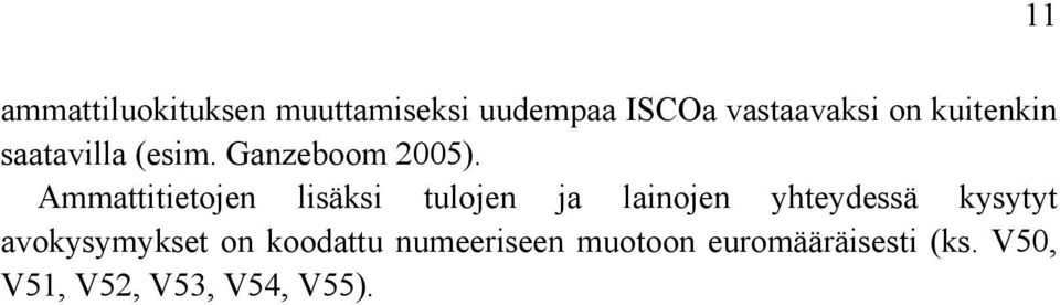 Ammattitietojen lisäksi tulojen ja lainojen yhteydessä kysytyt