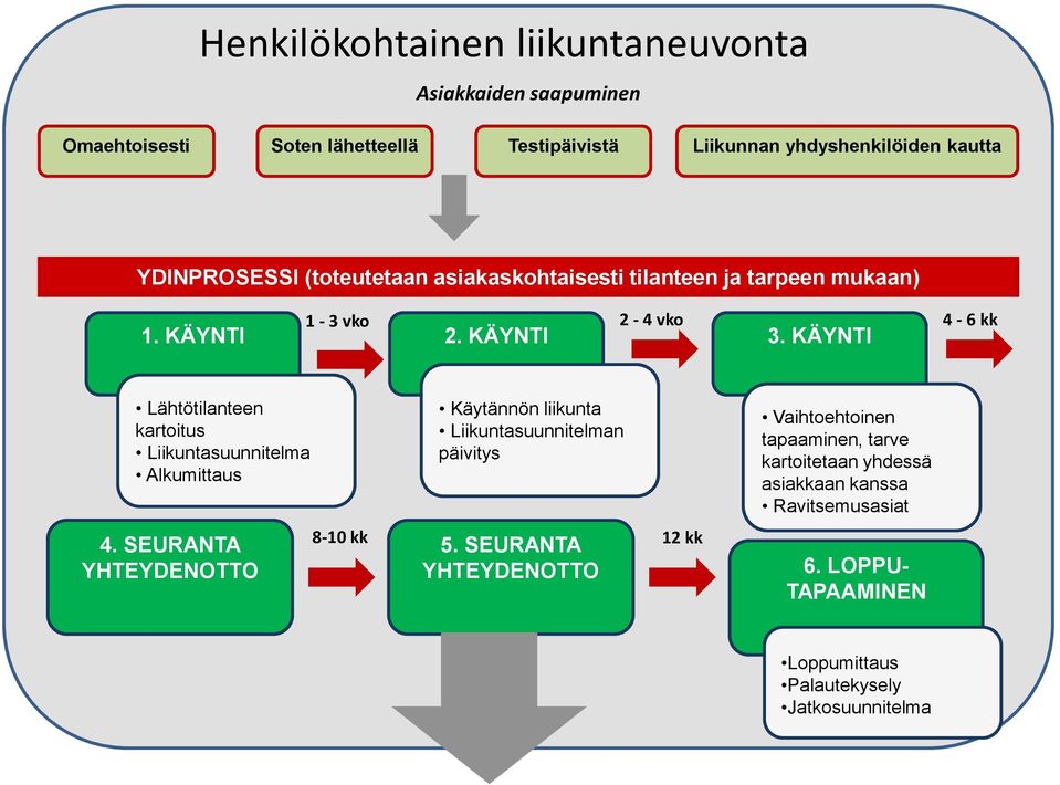 KÄYNTI 4-6 kk Lähtötilanteen kartoitus Liikuntasuunnitelma Alkumittaus Käytännön liikunta Liikuntasuunnitelman päivitys Vaihtoehtoinen tapaaminen,