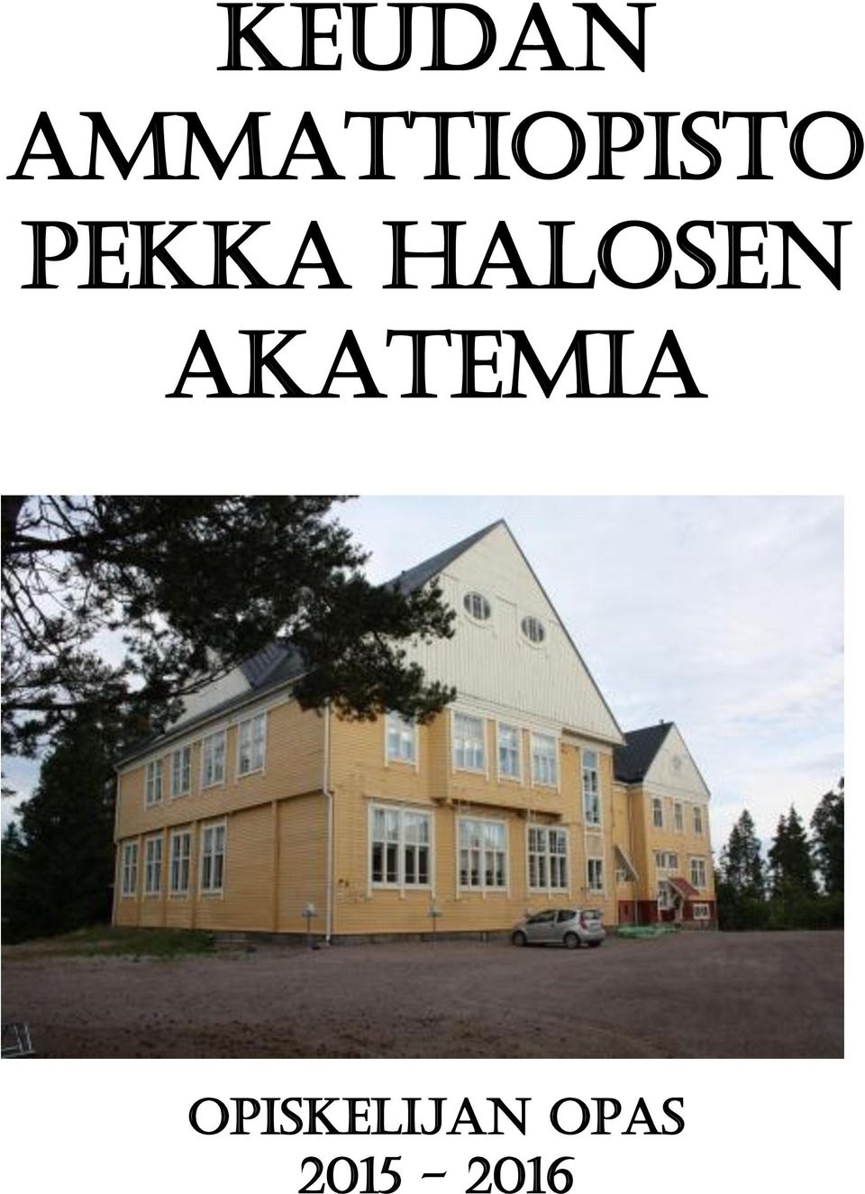 pekka halosen