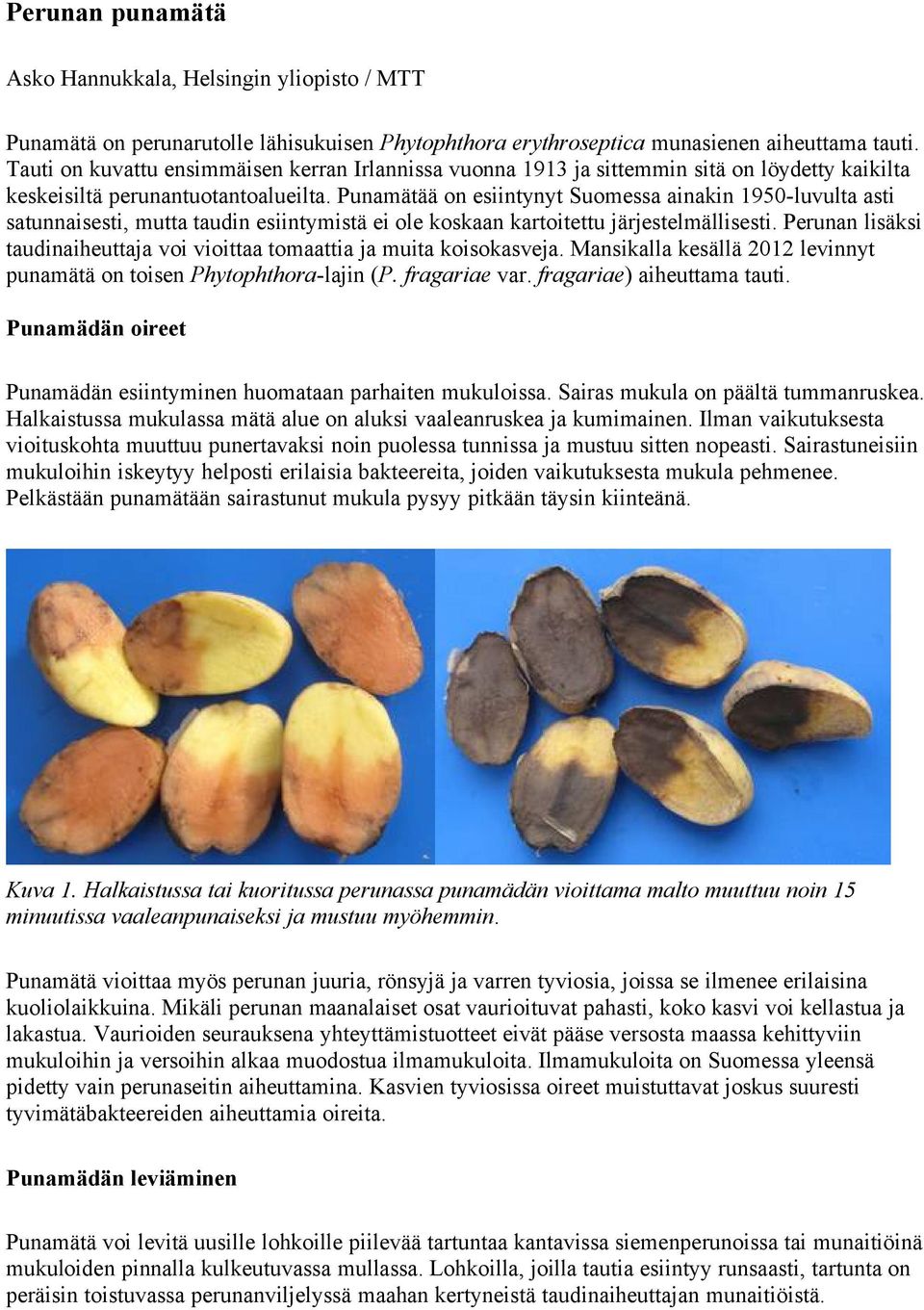 Punamätää on esiintynyt Suomessa ainakin 1950-luvulta asti satunnaisesti, mutta taudin esiintymistä ei ole koskaan kartoitettu järjestelmällisesti.