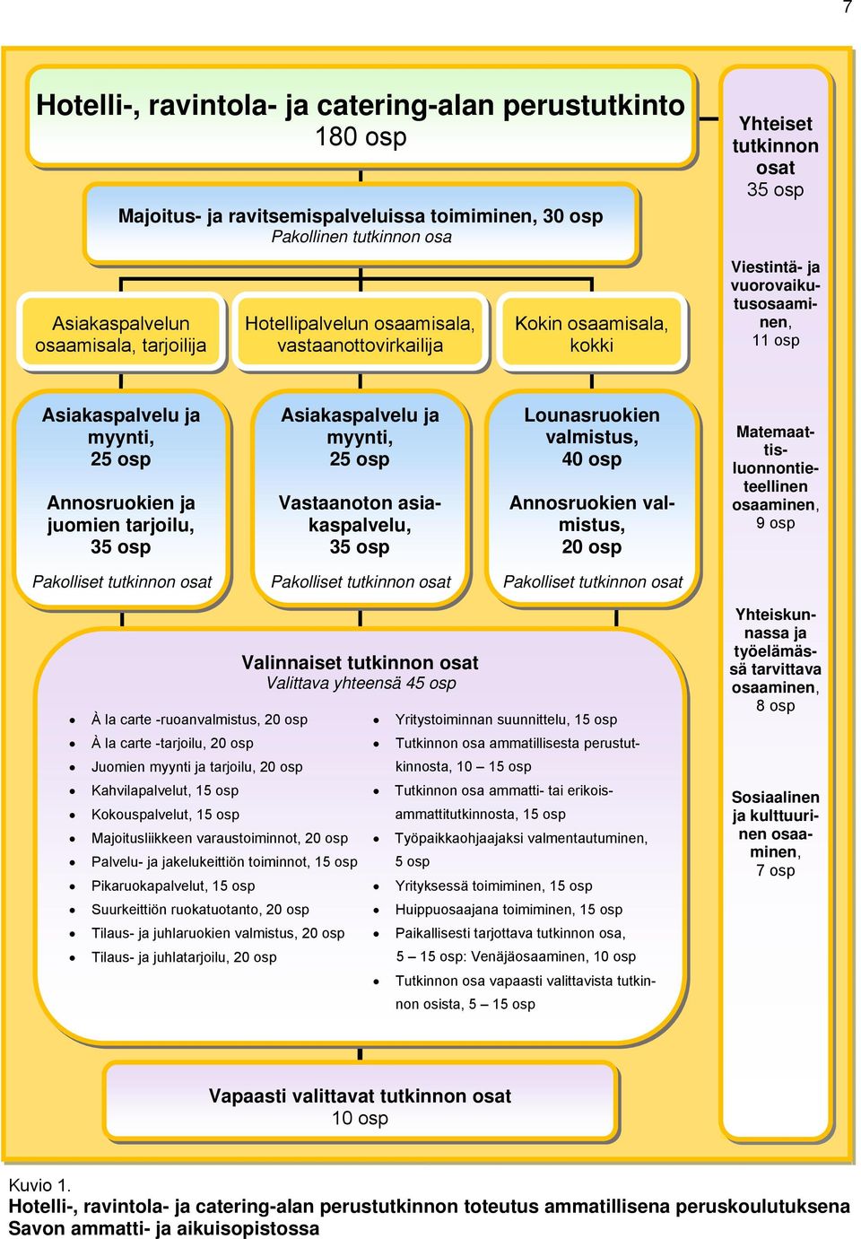 tarjoilu, 35 osp Asiakaspalvelu ja myynti, 25 osp Vastaanoton asiakaspalvelu, 35 osp Lounasruokien valmistus, 40 osp Annosruokien valmistus, 20 osp Matemaattisluonnontieteellinen osaaminen, 9 osp