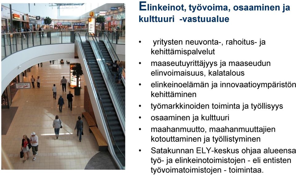 työmarkkinoiden toiminta ja työllisyys osaaminen ja kulttuuri maahanmuutto, maahanmuuttajien kotouttaminen ja