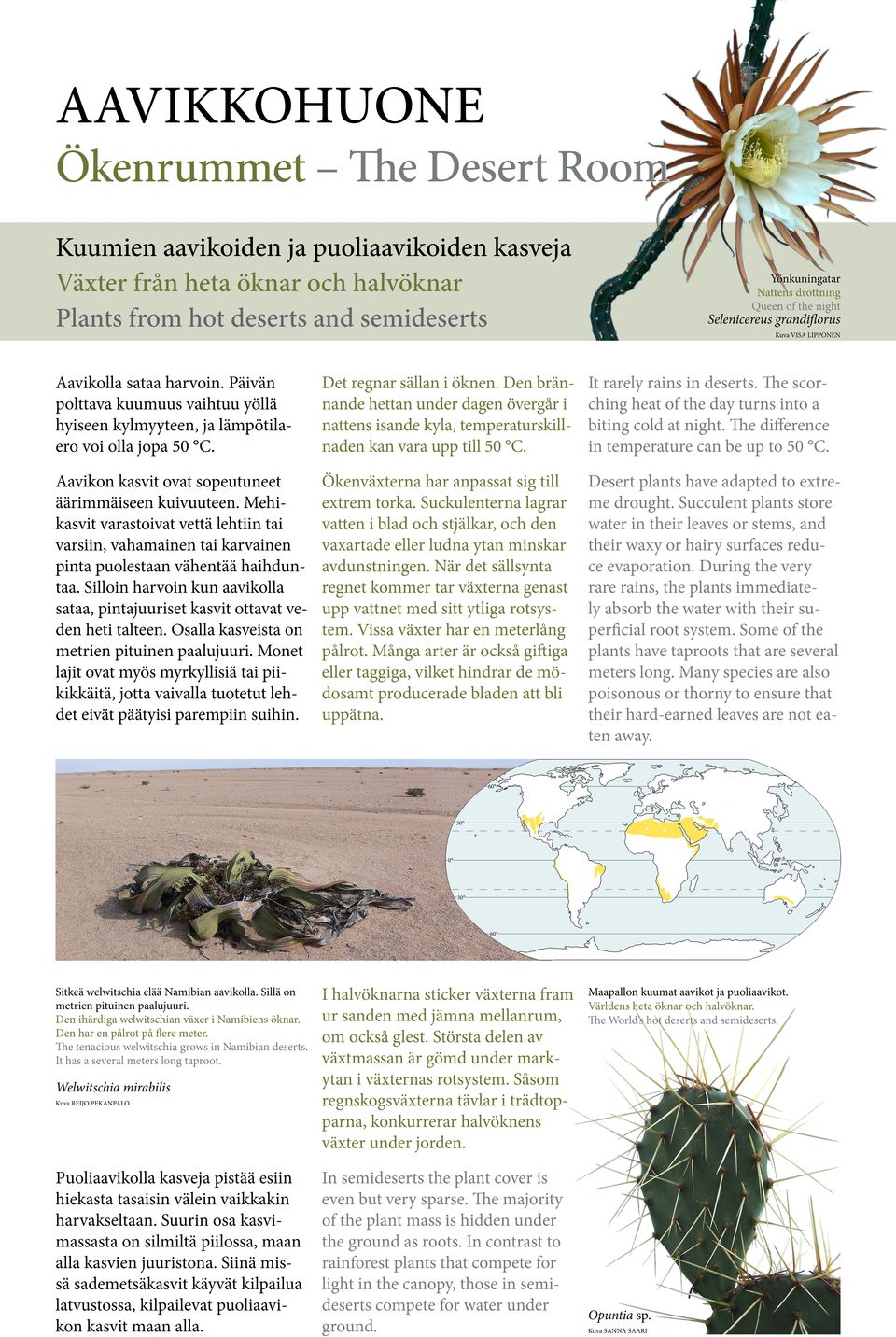 Det regnar sällan i öknen. Den brännande hettan under dagen övergår i nattens isande kyla, temperaturskillnaden kan vara upp till 50 C. It rarely rains in deserts.