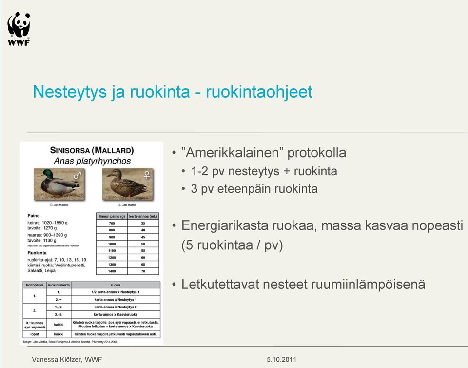 ruokinta Energiarikasta ruokaa, massa kasvaa nopeasti