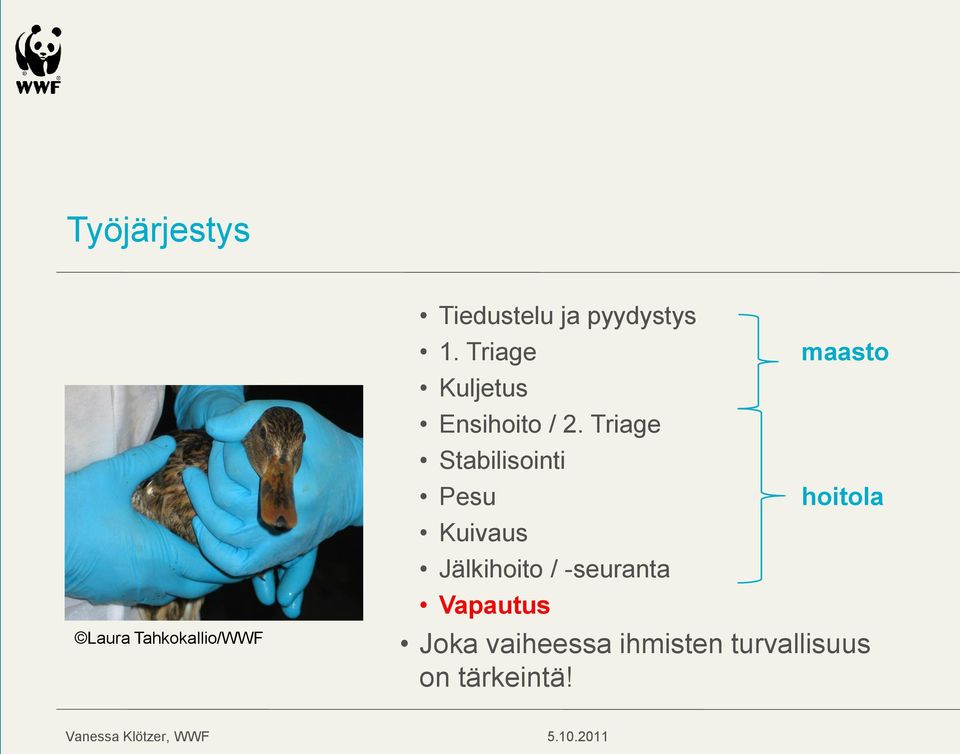 Triage Stabilisointi Pesu Kuivaus Jälkihoito /