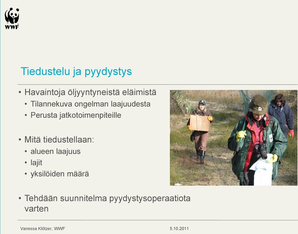 jatkotoimenpiteille Mitä tiedustellaan: alueen laajuus