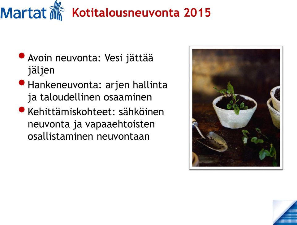taloudellinen osaaminen Kehittämiskohteet: