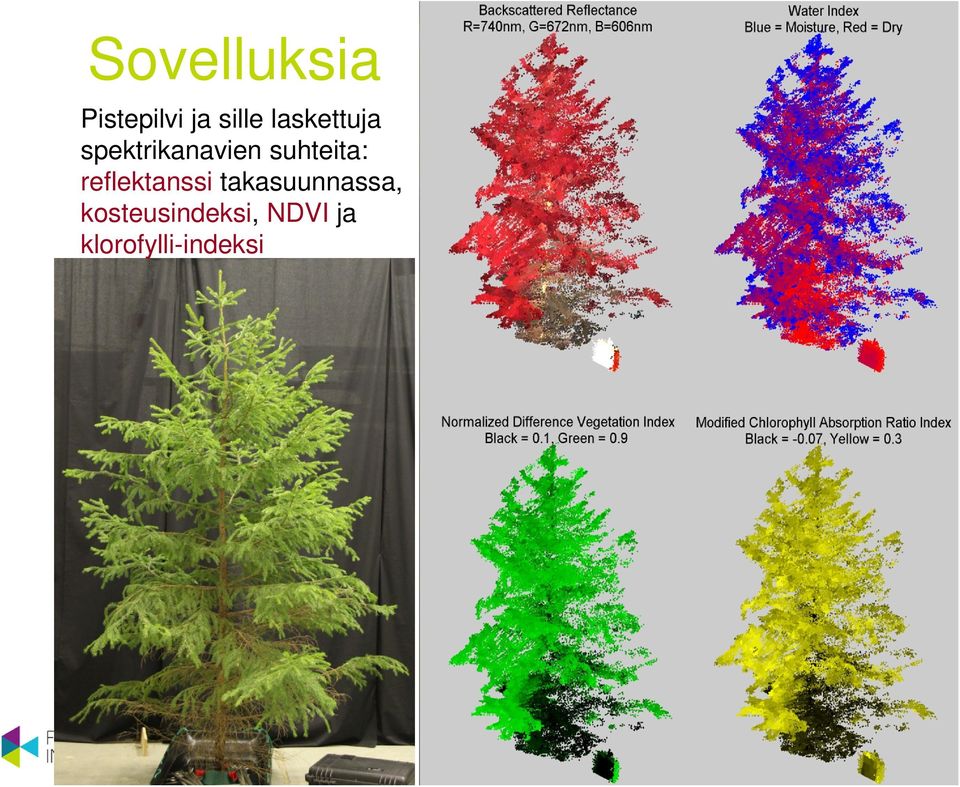 suhteita: reflektanssi