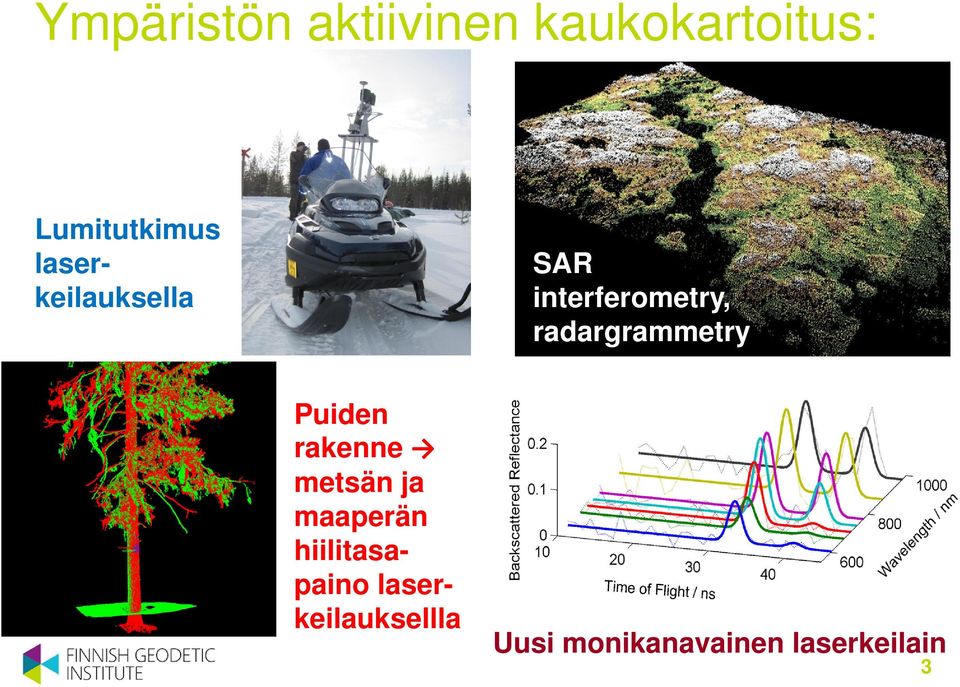 radargrammetry Puiden rakenne metsän ja maaperän
