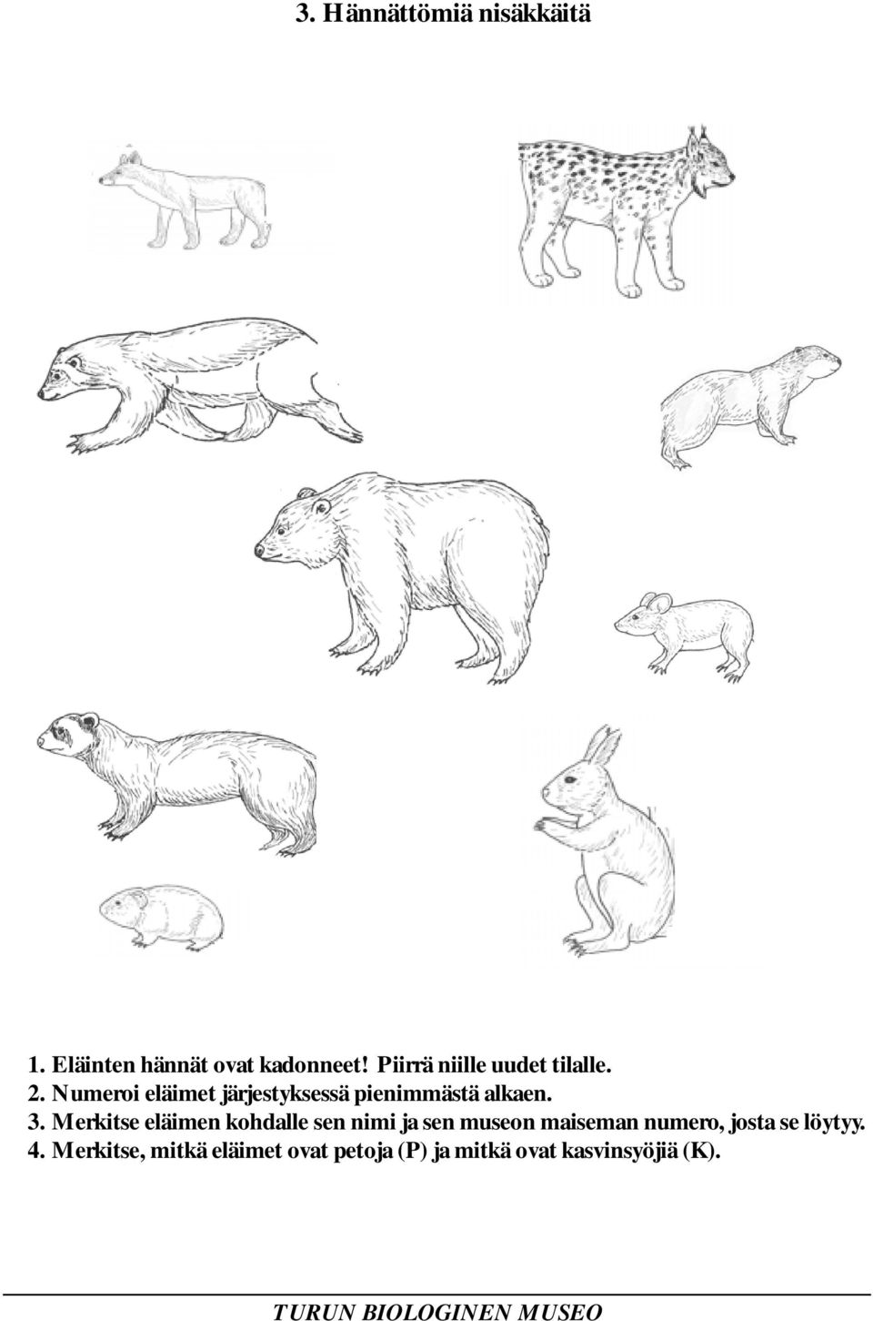 Numeroi eläimet järjestyksessä pienimmästä alkaen. 3.