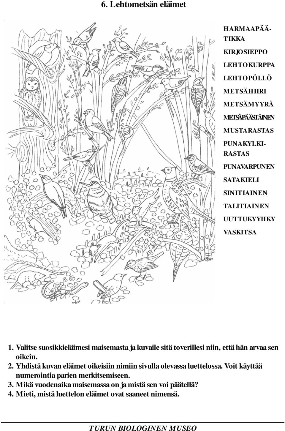 Valitse suosikkieläimesi maisemasta ja kuvaile sitä toverillesi niin, että hän arvaa sen oikein. 2.