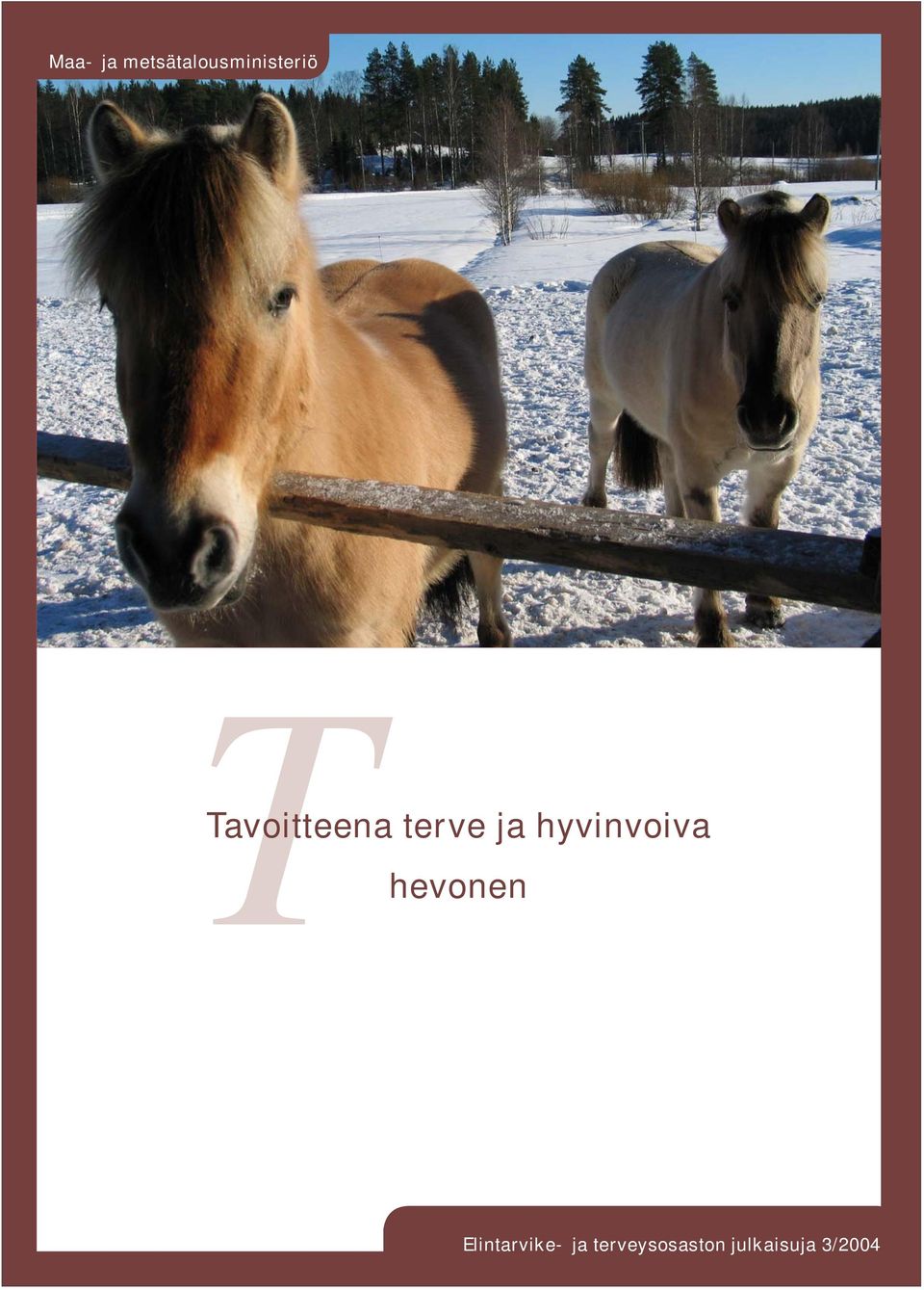 hyvinvoiva hevonen