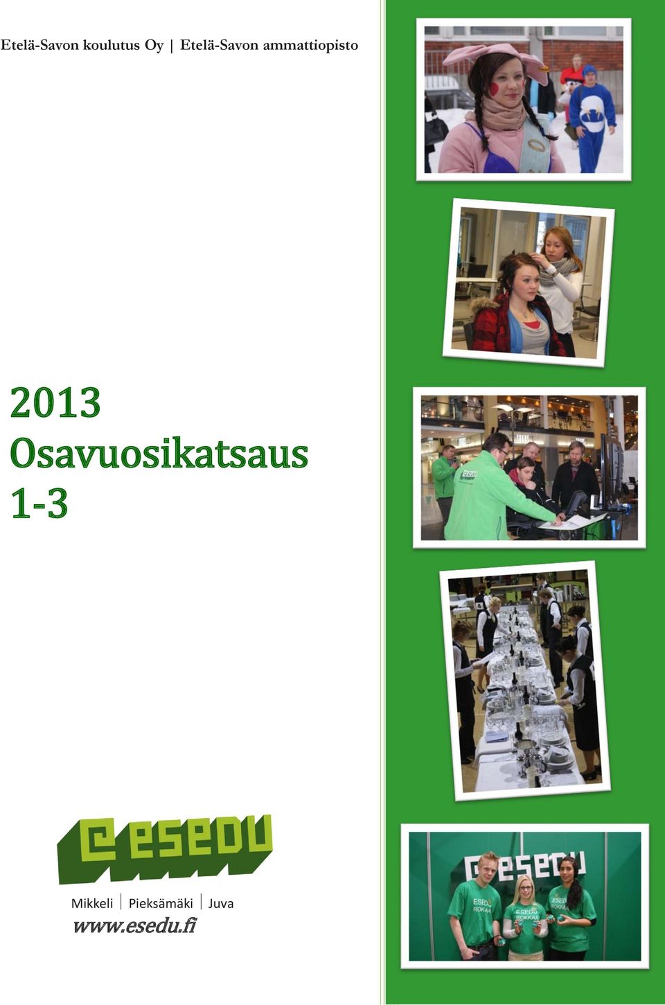 2013 Osavuosikatsaus 1-3