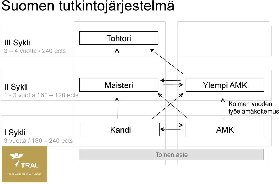 I Sykli 3 vuotta / 180 240 ects Maisteri Kandi